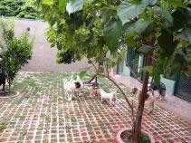 Second Home Hotel foto 4